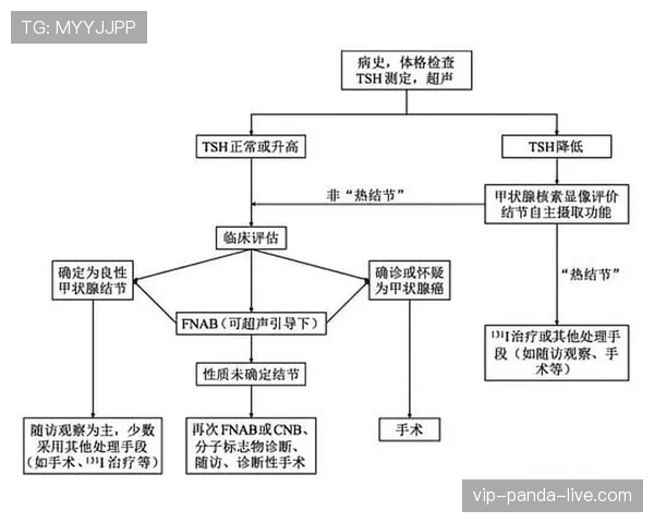 内斯塔与法迪尼在防守稳定性与单点对抗驱动机制上的分化路径