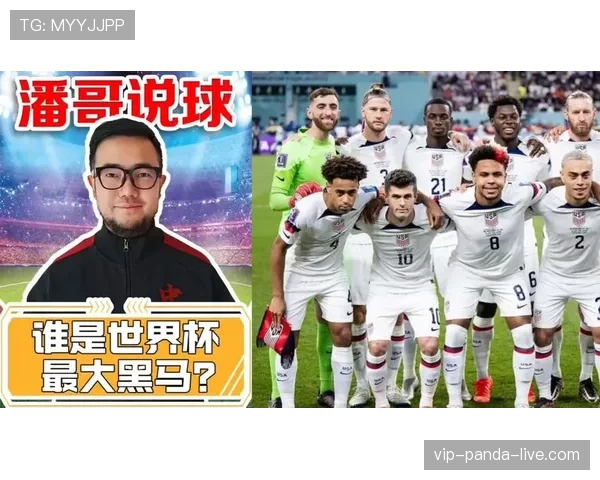 2026世界杯东道主球队世界杯表现预测排行榜