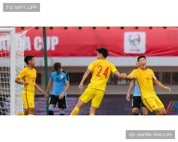 乌拉圭第三冠专题完整版 乌拉圭第三冠专题完整版